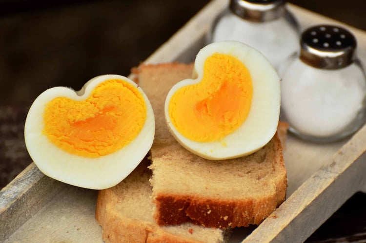 Gesunde Ernährung im Alter, DGE, DGE-Qualitätsstandard, Essen und Ernähren Verpflegung, Senioren, eiweißreiche Ernährung im Alter, Senioreneinrichtungen